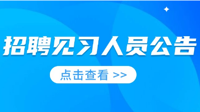 衡阳市美术馆公开招聘就业见习人员公告